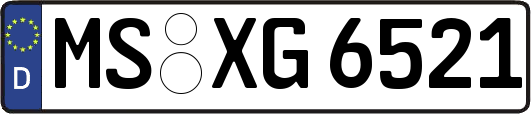 MS-XG6521