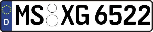 MS-XG6522