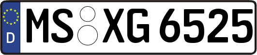 MS-XG6525