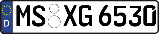 MS-XG6530