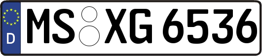 MS-XG6536
