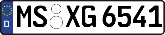 MS-XG6541