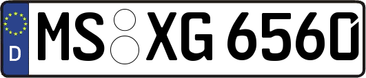 MS-XG6560