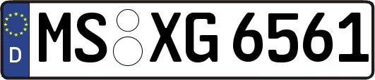 MS-XG6561