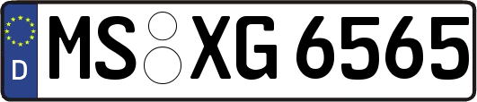 MS-XG6565
