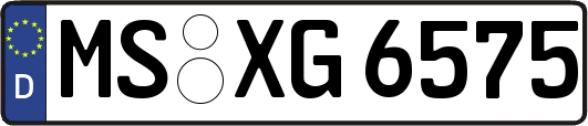 MS-XG6575
