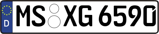 MS-XG6590