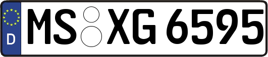 MS-XG6595