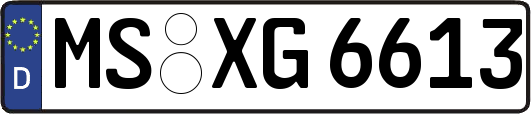 MS-XG6613