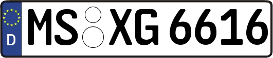 MS-XG6616