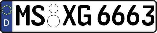 MS-XG6663