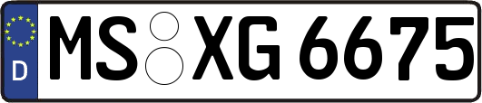 MS-XG6675