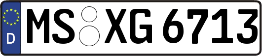 MS-XG6713
