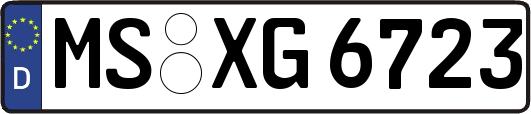 MS-XG6723