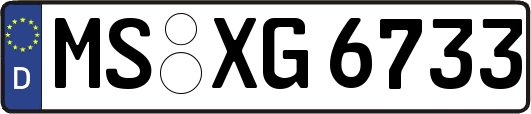 MS-XG6733