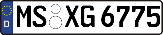 MS-XG6775
