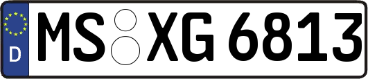 MS-XG6813
