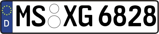 MS-XG6828