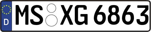 MS-XG6863
