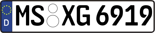 MS-XG6919