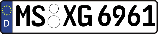 MS-XG6961