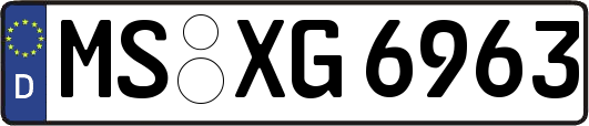 MS-XG6963