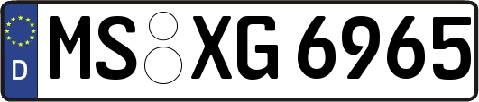 MS-XG6965