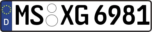 MS-XG6981