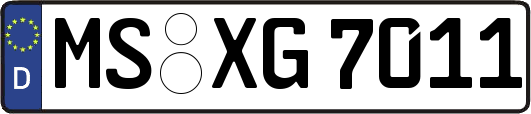 MS-XG7011