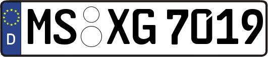 MS-XG7019
