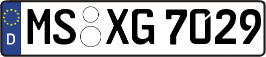 MS-XG7029