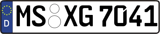 MS-XG7041