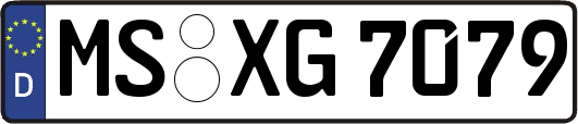 MS-XG7079