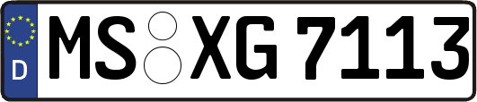 MS-XG7113