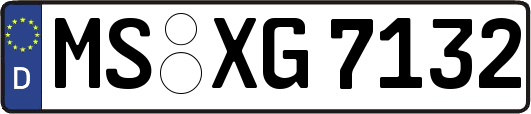 MS-XG7132