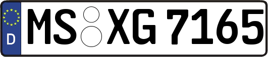 MS-XG7165