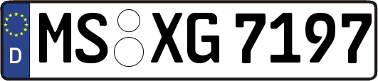 MS-XG7197