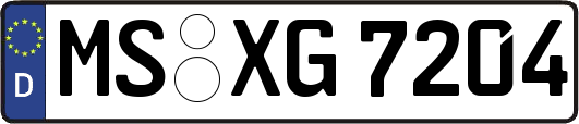 MS-XG7204