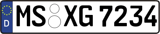 MS-XG7234