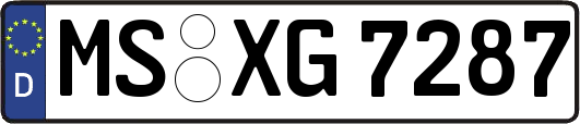 MS-XG7287