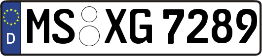 MS-XG7289