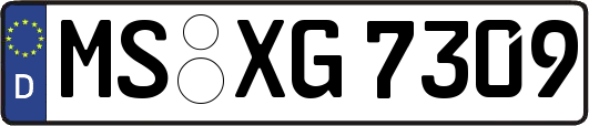 MS-XG7309