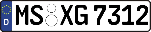 MS-XG7312