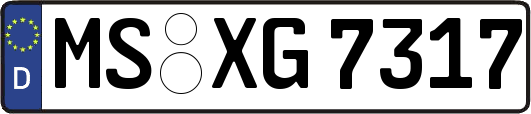 MS-XG7317