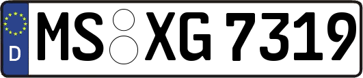 MS-XG7319