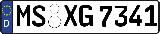 MS-XG7341