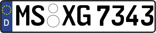 MS-XG7343