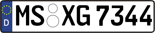 MS-XG7344