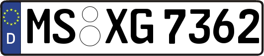 MS-XG7362