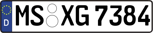 MS-XG7384